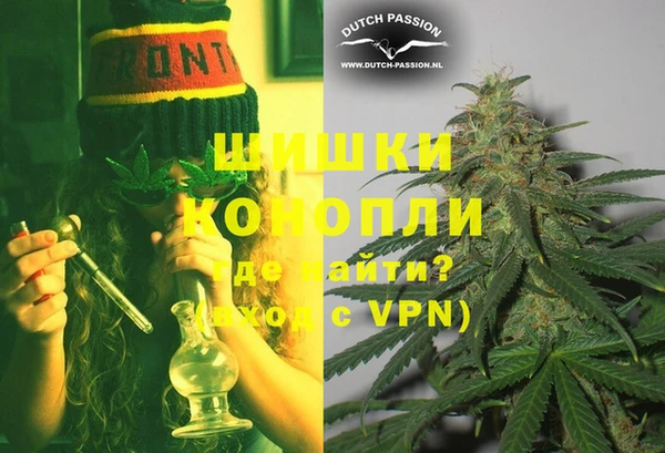 прущие грибы Богданович