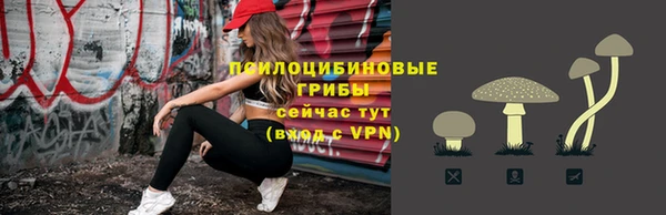 дмт Богородск