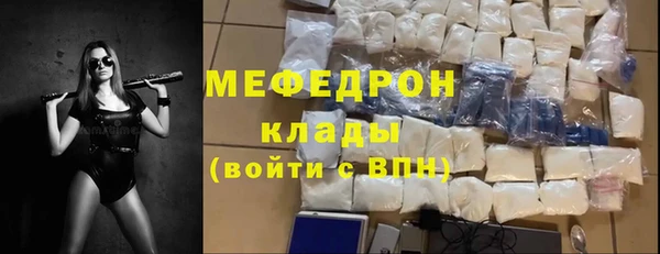 прущие грибы Богданович