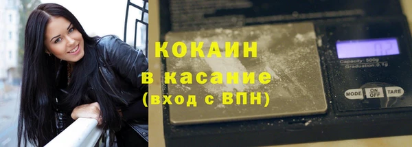 прущие грибы Богданович