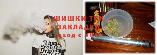 твердый Богородицк