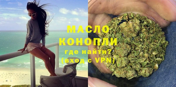 прущие грибы Богданович