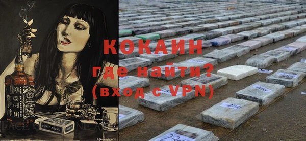 прущие грибы Богданович