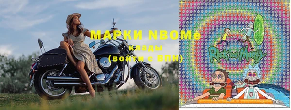 прущие грибы Богданович