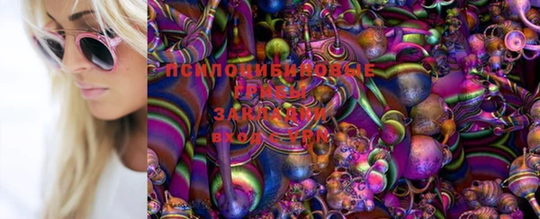 твердый Богородицк