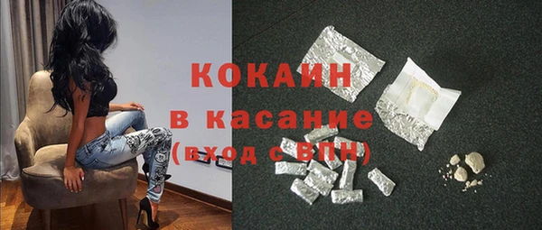 прущие грибы Богданович