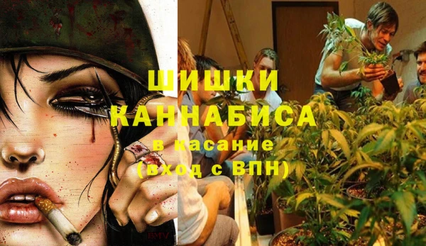 твердый Богородицк