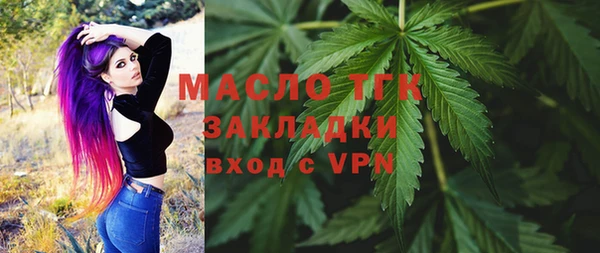 прущие грибы Богданович