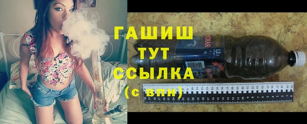 прущие грибы Богданович