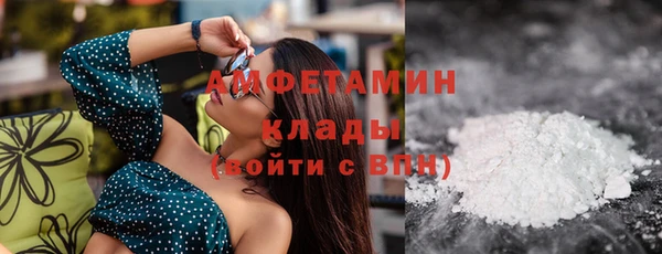 прущие грибы Богданович