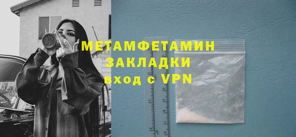 прущие грибы Богданович