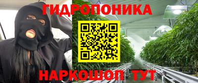 молекула духа Чебоксары
