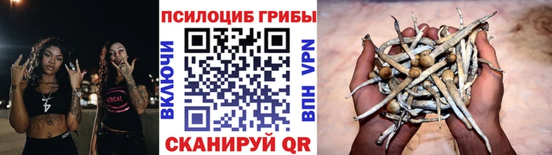 Галлюциногенные грибы Cubensis  Пятигорск 
