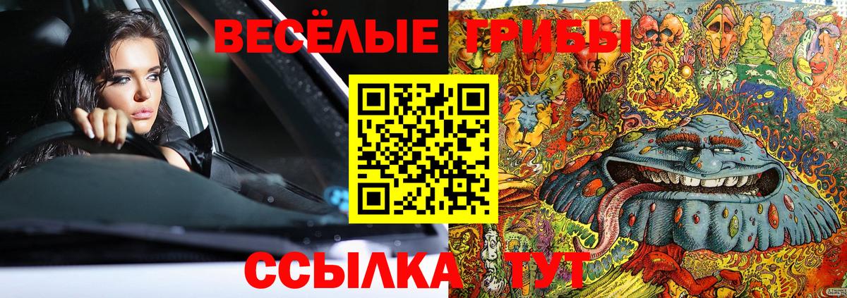 Псилоцибиновые грибы мухоморы Пятигорск
