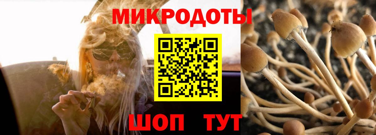 Псилоцибиновые грибы Psilocybe  Вход с VPN  Пятигорск  Галлюциногенные грибы Magic Shrooms 